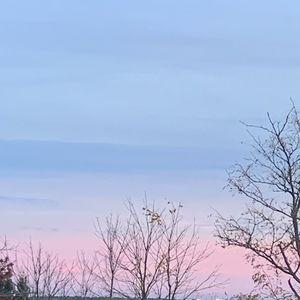 Meet your Posher, Posh